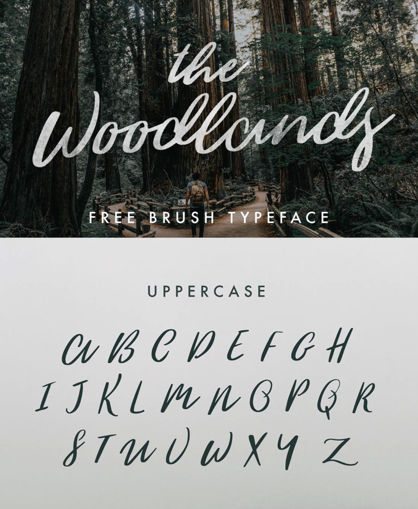 the-woodland